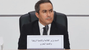 وزير الفلاحة: “كل قنطار ننتجه هو قنطار أقل نستورده وعملة صعبة ندخرها”