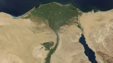 طحالب النيل تعطّل محطات تحلية المياه في فلسطين المحتلة