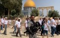 Jérusalem: Des colons sionistes prennent d’assaut l’esplanade de la mosquée d’Al-Aqsa