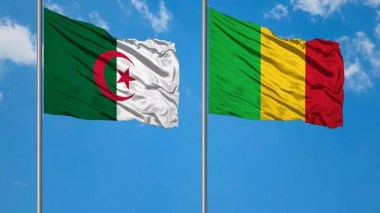Mali: Des professionnels de médias saluent le rôle de l’Algérie en faveur de la stabilité au Sahel