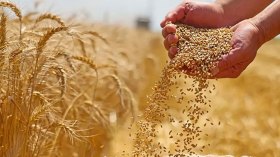 بطوننا التي أذلّتنا وأنهكتنا!