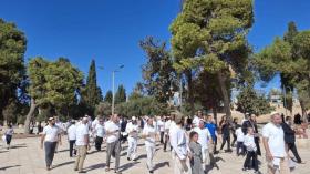 1271 مستوطنا يقتحمون المسجد الأقصى