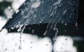Des pluies mercredi sur plusieurs wilayas du sud du pays