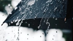 Des pluies mercredi sur plusieurs wilayas du sud du pays