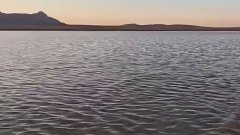 سبخة الزمول بأم البواقي تتحول إلى مقصد لعشاق الطبيعة وهواة التصوير