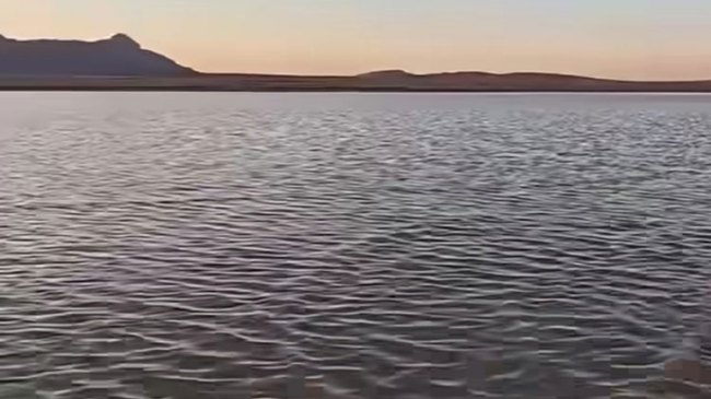سبخة الزمول بأم البواقي تتحول إلى مقصد لعشاق الطبيعة وهواة التصوير