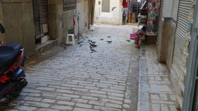 المدينة القديمة “السويقة” تدخل مخبر الترميم بقسنطينة