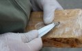 L’Espagne saisit plus de 1,2 tonne de cocaïne dissimulée dans une cargaison de noix de coco