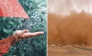 تنبيه: أمطار رعدية وزوابع رملية عبر 8 ولايات