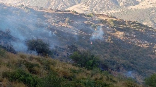 إخماد 13 حريقًا وبقاء حريق واحد متواصلًا في سطيف