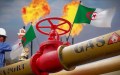 ارتفاع إنتاج الغاز في الجزائر 4% خلال 7 أشهر.. والاستهلاك يسجل مستويات قياسية