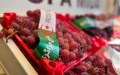 افتتاح معرض العنب بولاية بومرداس
