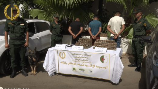 بالفيديو.. حجز أزيد من 36 كلغ من الكيف المعالج بالشلف