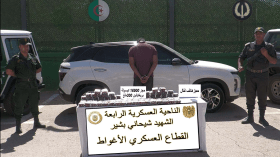 الدفاع.. ضبط قنطارين من الكيف و58 كلغ من الكوكايين و136 ألف قرص مهلوس