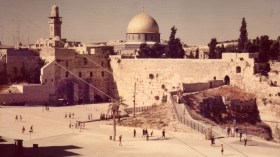 سر تعلق الجزائريين بفلسطين
