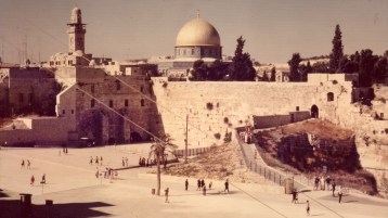 سر تعلق الجزائريين بفلسطين