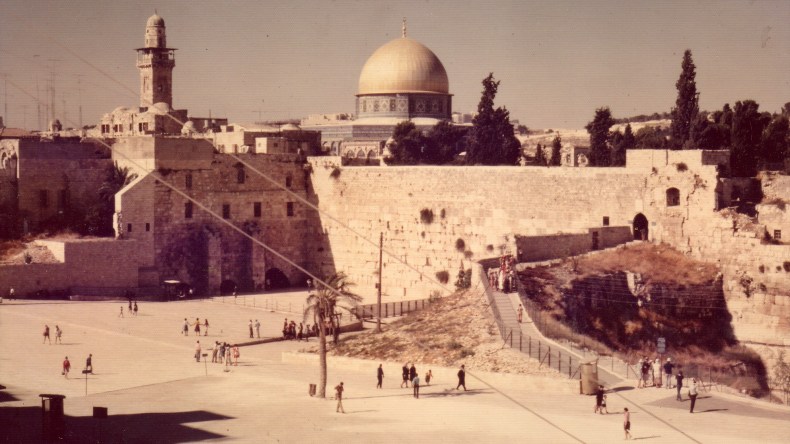 سر تعلق الجزائريين بفلسطين