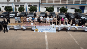 ضبط 228 كلغ من الكوكايين.. توقيف 20 شخصا وحجز 46 مركبة بوهران  