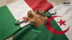 Algeria-Italy: Timimoun Project Drives Expansion of Agricultural Cooperation