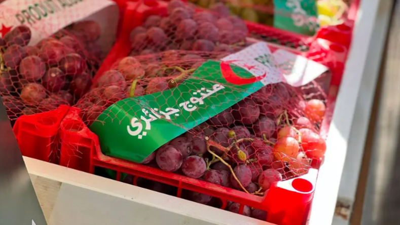 بومرداس تتوقع إنتاج أكثر من 3.3 مليون قنطار من العنب هذا الموسم