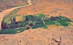 تازروك تعزز زراعة الأشجار المثمرة بإقبال متزايد من الشباب