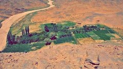 تازروك تعزز زراعة الأشجار المثمرة بإقبال متزايد من الشباب