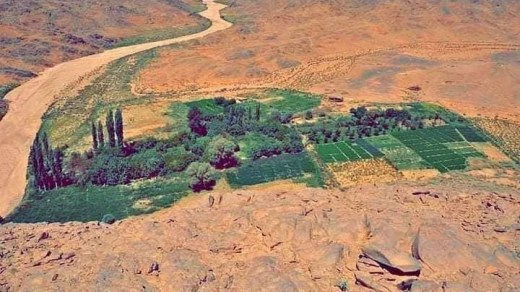 تازروك تعزز زراعة الأشجار المثمرة بإقبال متزايد من الشباب