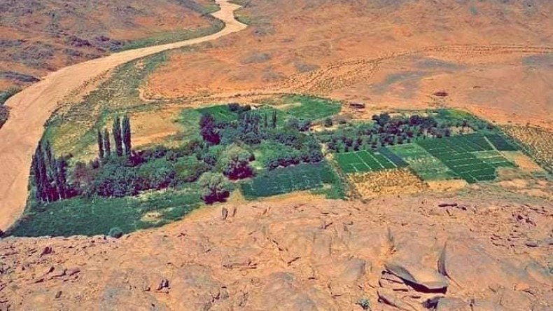 تازروك تعزز زراعة الأشجار المثمرة بإقبال متزايد من الشباب
