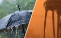 تنبيه: أمطار رعدية وزوابع رملية على هذه الولايات