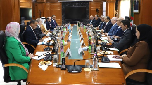 عرقاب يبحث مع الأمين العام لأوبك تطورات سوق النفط وتعزيز التعاون