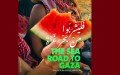 “فليشربوا من بحر غزة”.. توثيق من قلب الأسطول