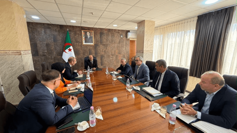 وزير الصناعة يوجه بتسريع تصنيع مكونات السيارات محليا