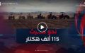 نحو حرث 115 ألف هكتار بالمدية