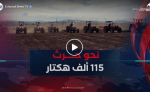 نحو حرث 115 ألف هكتار بالمدية