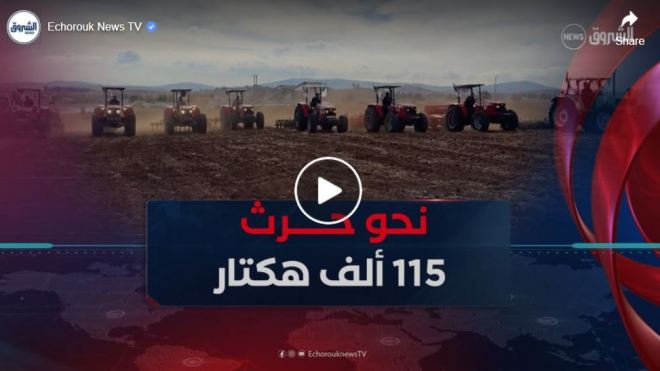 نحو حرث 115 ألف هكتار بالمدية