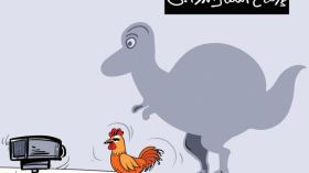 الدواجن