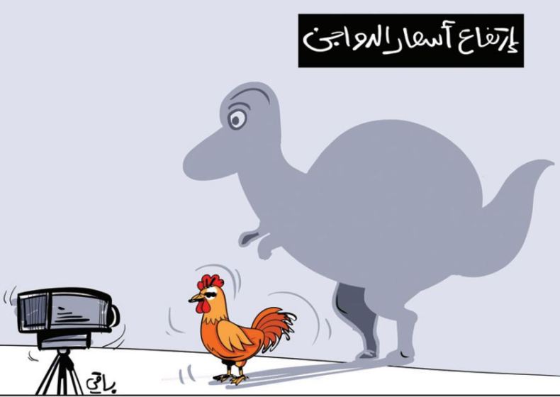 الدواجن