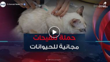 حملة مجانية لتلقيح الحيوانات الأليفة ضد الكلب في ولاية قسنطينة