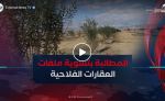 فلاحو زريبة الوادي ببسكرة يطالبون بالإسراع في تسوية ملفات عقارهم الفلاحي
