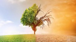 L’ONU salue la mise en œuvre par l’Algérie de ses engagements internationaux en matière de climat