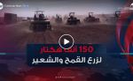 موسم الحرث والبذر.. 150 ألف هكتار لزرع القمح والشعير بولاية سطيف