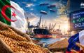 Algeria’s Wheat Tender Boosts European Prices Amid Risk of French Exclusion