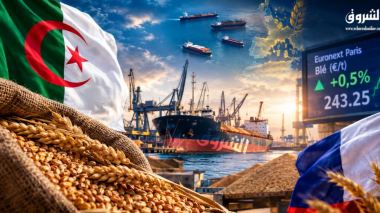 Algeria’s Wheat Tender Boosts European Prices Amid Risk of French Exclusion