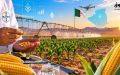 Bayer Targets 5,000 Hectares in Algeria’s Corn Seed Market