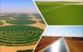 الجزائر تعزز أمنها الغذائي بالابتكار والبحث العلمي وتطوير الزراعات الاستراتيجية