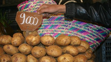 وزارة التجارة الداخلية تدعو إلى التقيّد الصارم بإلزامية إشهار الأسعار