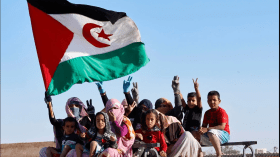 خبراء من العالم يدافعون عن حق الصحراويين في الاختيار