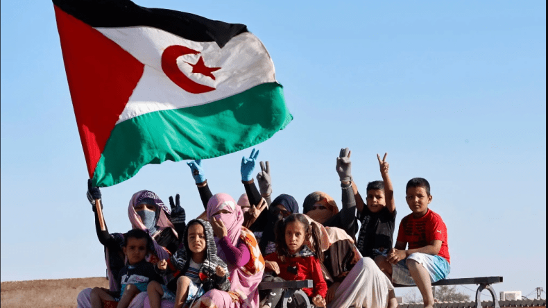 خبراء من العالم يدافعون عن حق الصحراويين في الاختيار