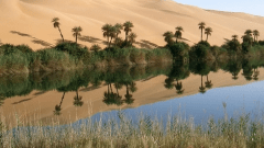 مُسطّحات مائية بالصحراء تتحوّل إلى حمامات مفتوحة للسّيّاح… !