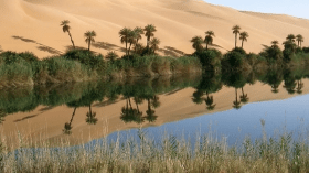 مُسطّحات مائية بالصحراء تتحوّل إلى حمامات مفتوحة للسّيّاح… !